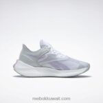 أبيض فوتور / رمادي نقي 2 / واحة بنفسجية حذاء رياضي نسائي للجري Floatride Energy Symmetros 2 Reebok 0NZ0F386 - Image 2