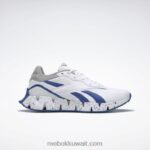 أبيض ftwr / أزرق متجه / رمادي نقي 3 حذاء zig dynamica 4 Reebok 0NZ0F168