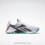 أبيض ftwr / فيكتور كحلي / كلاسيكي البط البري حذاء تدريب نانو x1 للرجال Reebok 0NZ0F1042 - Image 2