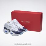 أبيض ftwr / كلاسيكي كوبالت / قلب أسود بانيني السؤال منتصف أحذية كرة السلة Reebok 0NZ0F48 - Image 11