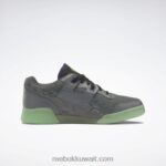 أساسي رمادي / فحم / أخضر مجاني DC تجريب بالإضافة إلى أحذية رجالية Reebok 0NZ0F182 - Image 4
