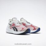 الطباشير / ناقلات الأحمر / ناقلات الأزرق حذاء رياضي نسائي للجري Floatride Energy Symmetros 2 Reebok 0NZ0F242 - Image 3
