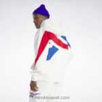 الطباشير هوديي فخور العلامة التجارية الكلاسيكية Reebok 0NZ0F331 - Image 3