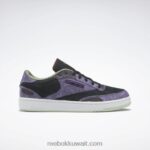 الظل الأرجواني / الروح الأبيض / الأخضر خمر حذاء دي سي كلوب سي 85 Reebok 0NZ0F95