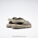 بولدر رمادي / رق / دقيق الشوفان شرائح بيتنيك العالم الجوراسي Reebok 0NZ0F245 - Image 6