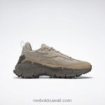 حديث بيج / صحارى / تريك جراي حذاء zig kinetica 2.5 حافة Reebok 0NZ0F82 - Image 4
