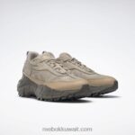 حديث بيج / صحارى / تريك جراي حذاء zig kinetica 2.5 حافة Reebok 0NZ0F82 - Image 5