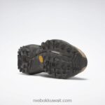 حديث بيج / صحارى / تريك جراي حذاء zig kinetica 2.5 حافة Reebok 0NZ0F82 - Image 7