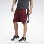 رجال بورجوندي الكلاسيكي شورت شبكي جاهز للتمارين الرياضية Reebok 0NZ0F1322