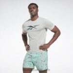 رجال رمادي نقي 3 أكتيفشيل تي شيرت رياضي برسومات Reebok 0NZ0F1286