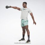 رجال رمادي نقي 3 أكتيفشيل تي شيرت رياضي برسومات Reebok 0NZ0F1286 - Image 3