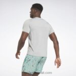 رجال رمادي نقي 3 أكتيفشيل تي شيرت رياضي برسومات Reebok 0NZ0F1286 - Image 4
