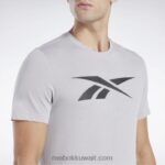 رجال رمادي نقي 3 سلسلة الرسم ناقلات تي شيرت Reebok 0NZ0F1244 - Image 4
