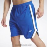 رجال ناقلات الأزرق شورت شبكي جاهز للتمارين الرياضية Reebok 0NZ0F1292 - Image 5