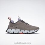 رمادي داكن / واحة بنفسجية / أبيض فاتح حذاء نسائي من zig dynamica Adventure Reebok 0NZ0F44