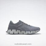 رمادي نقي 3 / رمادي نقي 2 / رمادي نقي 5 حذاء زيج ديناميكا 2 للرجال Reebok 0NZ0F1053