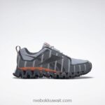 رمادي نقي 3 / رمادي نقي 7 / برتقالي سحق s23-r حذاء زيجويلد تريل 6 للرجال Reebok 0NZ0F1059