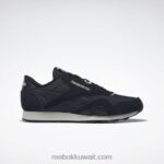 قلب أسود / ضباب الصباح حذاء نايلون كلاسيكي Reebok 0NZ0F822