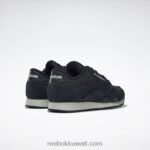 قلب أسود / ضباب الصباح حذاء نايلون كلاسيكي Reebok 0NZ0F822 - Image 4