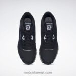 قلب أسود / ضباب الصباح حذاء نايلون كلاسيكي Reebok 0NZ0F822 - Image 6