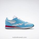 مشع أكوا / أزرق لؤلؤي / أبيض ftwr أحذية جلدية كلاسيكية Reebok 0NZ0F201 - Image 2