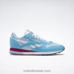مشع أكوا / أزرق لؤلؤي / أبيض ftwr أحذية جلدية كلاسيكية Reebok 0NZ0F201