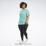 نحيف البط البري شبه الكلاسيكي تي شيرت نضوب (حجم كبير) Reebok 0NZ0F644 - Image 2