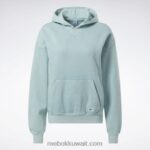 نحيف الرمادي الساحلي هوديي الصوف الطبيعي الكلاسيكي Reebok 0NZ0F639 - Image 9