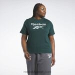 نحيف الغابة الخضراء تي شيرت الهوية (حجم كبير) Reebok 0NZ0F958
