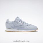 نحيف بارد رمادي 2 / ftwr أبيض أحذية جلدية كلاسيكية Reebok 0NZ0F208