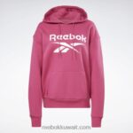 نحيف شبه وردي فخور سويت شيرت صوف بشعار الماركة كبير Reebok 0NZ0F582 - Image 6