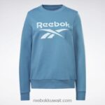 نحيف فولاذي أزرق s23-r سويت شيرت صوف بشعار الماركة كبير Reebok 0NZ0F827 - Image 6