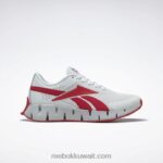 نقي رمادي 1 / متجه أحمر / رمادي نقي 2 حذاء زيج ديناميكا 2 للرجال Reebok 0NZ0F1076