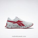 نقي رمادي 1 / متجه أحمر / رمادي نقي 2 حذاء زيج ديناميكا 2 للرجال Reebok 0NZ0F1076 - Image 4