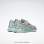 نقي رمادي 1 / نعناع ناعم / رمادي نقي 3 حذاء رياضي نسائي من nano x1 Reebok 0NZ0F200 - Image 4