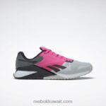 نقي رمادي 2 / وردي ذري / قلب أسود حذاء تدريب نانو 6000 Reebok 0NZ0F138