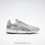 نقي رمادي 3 / رمادي نقي 5 / طباشير حذاء ديلي فيت دي ام اكس للرجال Reebok 0NZ0F1154