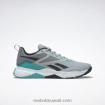 نقي رمادي 3 / نقي رمادي 5 / أزرق مخضر أحذية تدريب الرجال nfx Reebok 0NZ0F1336