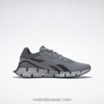 نقي رمادي 5 / رمادي نقي 7 / أسود أساسي حذاء zig dynamica 4 Reebok 0NZ0F220 - Image 2