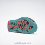 نقي رمادي 5 / كور أسود / أزرق مخضر كلاسيكي حذاء nano x2 tr Adventure للنساء Reebok 0NZ0F101 - Image 11