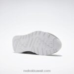 نقي رمادي 5 / ftwr أبيض أحذية الرجال النايلون الكلاسيكية Reebok 0NZ0F1047 - Image 5