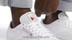 FTWWR أبيض / رمادي نقي 3 / ريبوك صمغ مطاطي -03 أحذية جلدية كلاسيكية Reebok 0NZ0F26 - Image 2