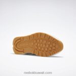 FTWWR أبيض / رمادي نقي 3 / ريبوك صمغ مطاطي -03 أحذية جلدية كلاسيكية Reebok 0NZ0F26 - Image 7