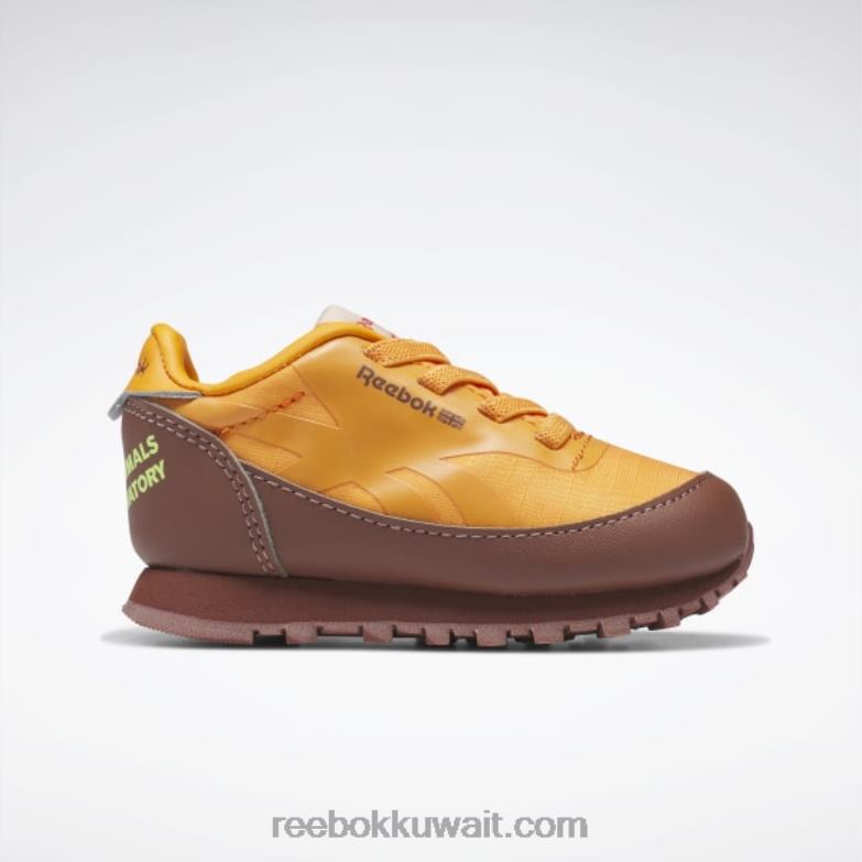 بولدر بني / برتقالي لامع / أصفر حامض شمسي