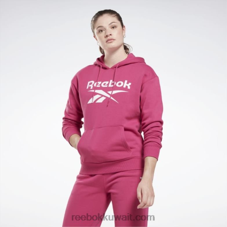 نحيف شبه وردي فخور سويت شيرت صوف بشعار الماركة كبير Reebok 0NZ0F582