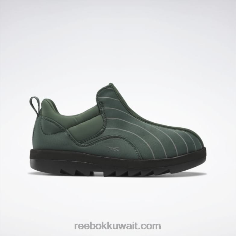 الطباشير الأخضر / النواة السوداء أحذية beatnik Reebok 0NZ0F405