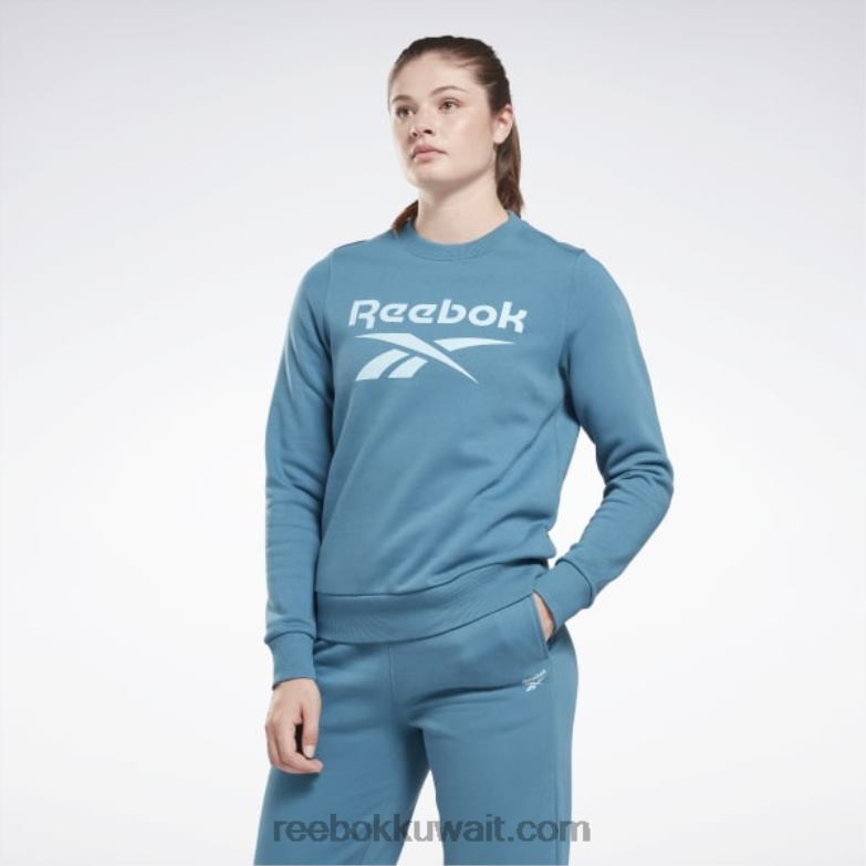 نحيف فولاذي أزرق s23-r سويت شيرت صوف بشعار الماركة كبير Reebok 0NZ0F827